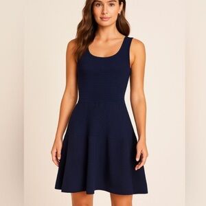 SANDRO Paris Navy Blue Ribbed fit and flare dress size 2